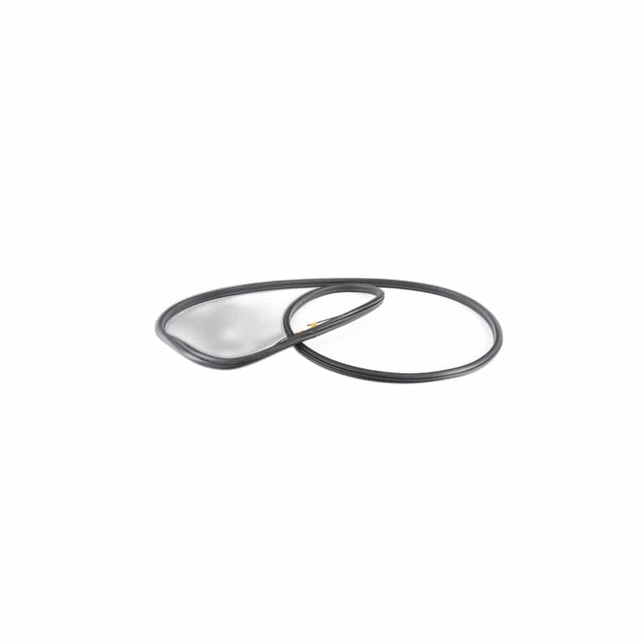 Genuine BMW 51727333608 E70 Edge Protection, Door, Rear SCHWARZ (Inc. X5)