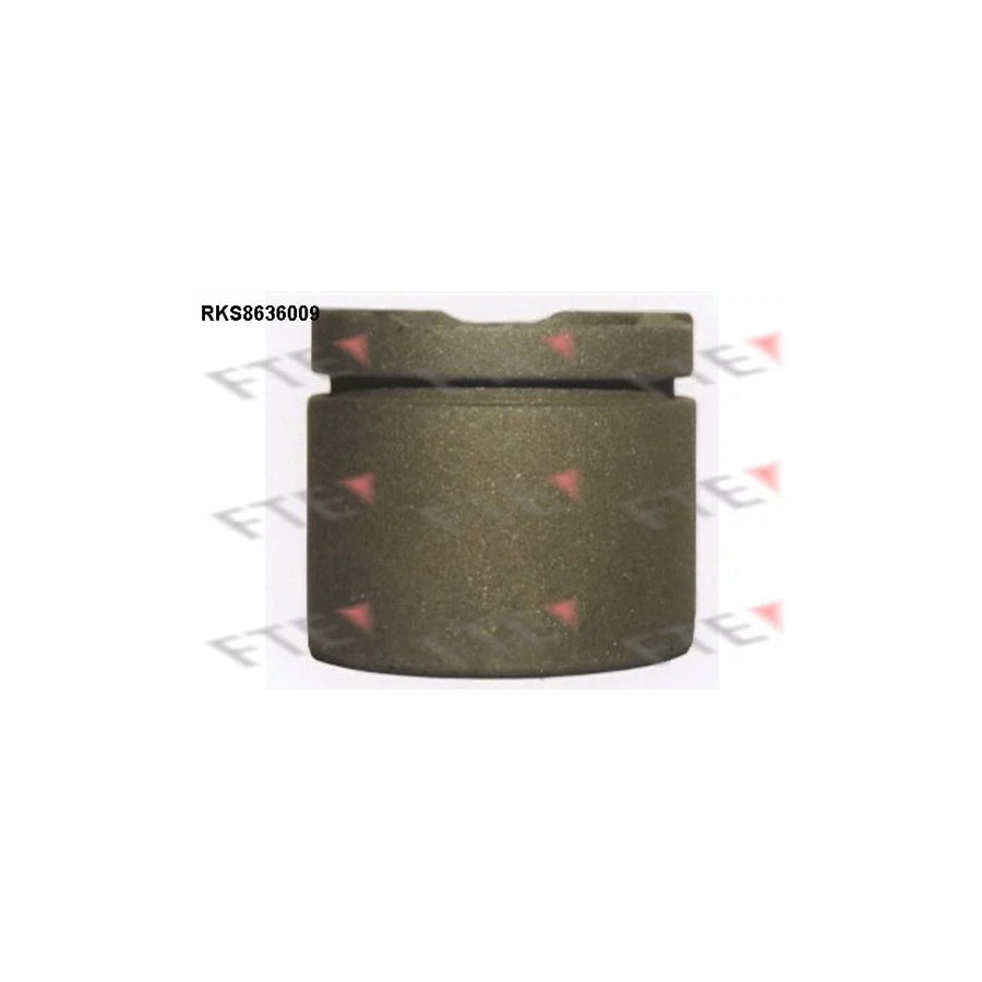 FTE 9313327 Piston, Brake Caliper