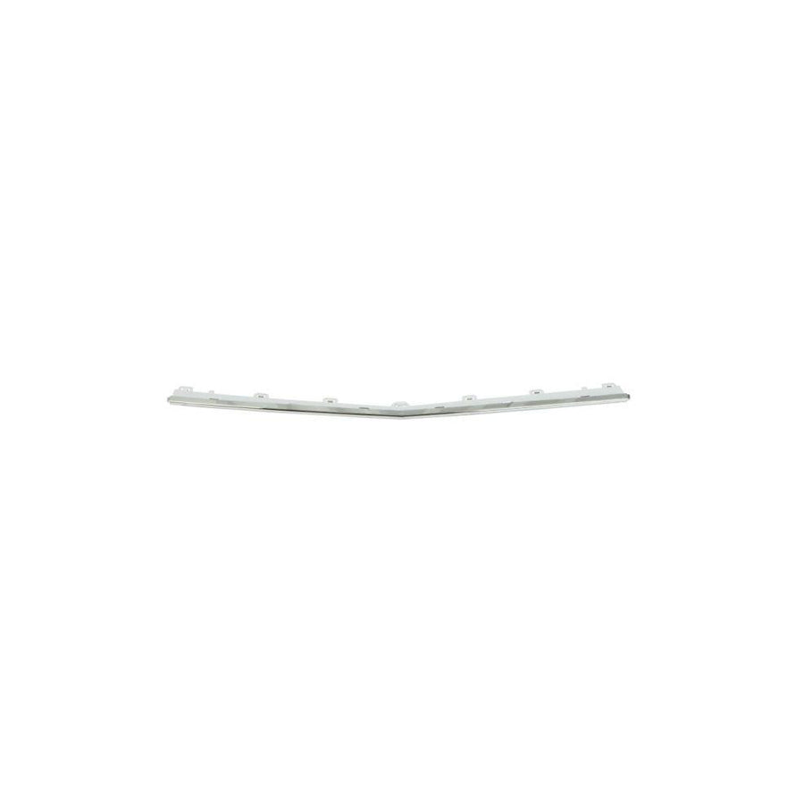 Blic 5703-05-3529927P Bumper Moulding Suitable for Mercedes-Benz E-Class