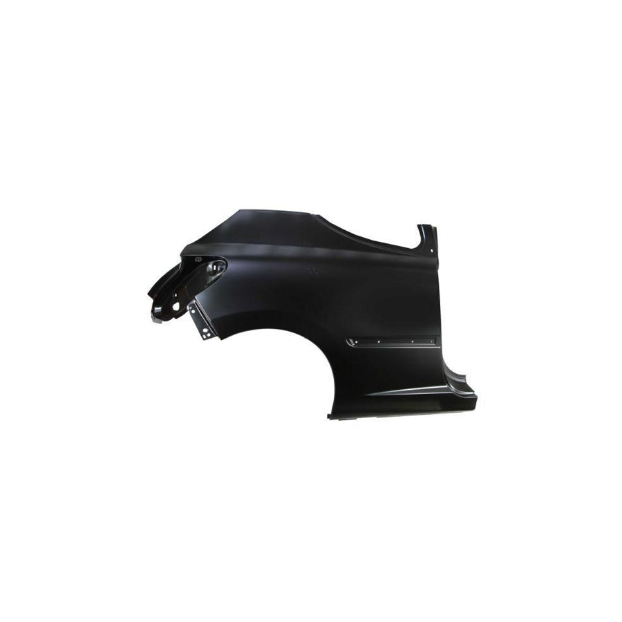 Blic 6504-01-5508512P Wing Fender for Peugeot 207