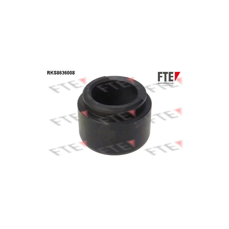 FTE 9313326 Piston, Brake Caliper for Opel Omega