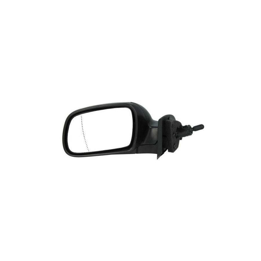Blic 5402-04-1137397P Wing Mirror for Peugeot 307