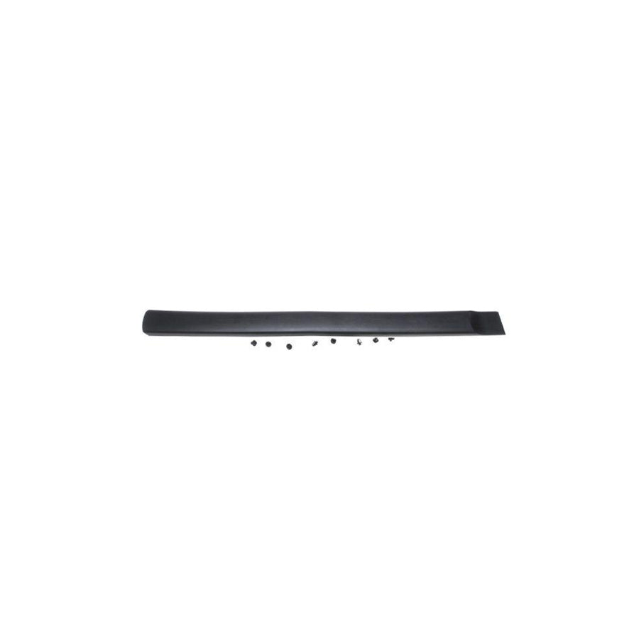 Blic 5703-04-0550572P Door Molding for Citroen Berlingo