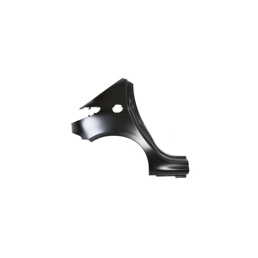 Blic 6504-01-5507514P Wing Fender for Peugeot 206