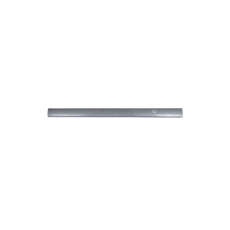 Blic 6505-06-9533015P Rocker Panel for VW Golf Plus / Crossgolf (5M1, 521)