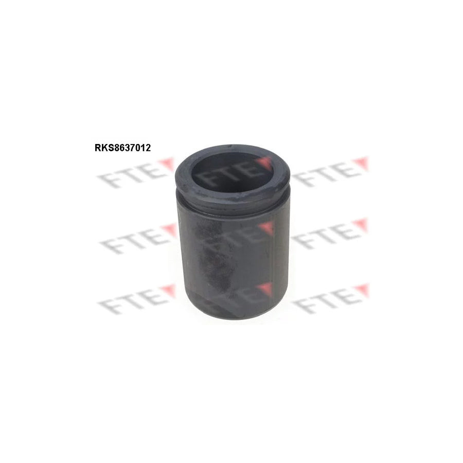 FTE 9313353 Piston, Brake Caliper
