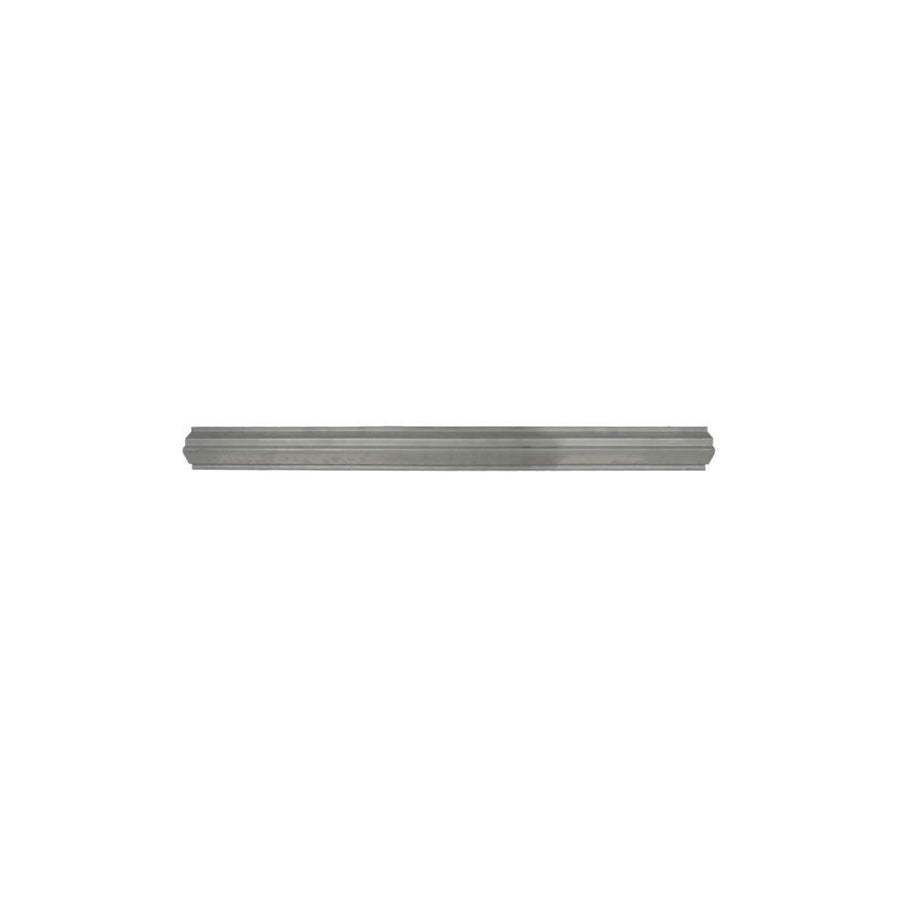 Blic 6505-06-1646017P Rocker Panel for Nissan Patrol