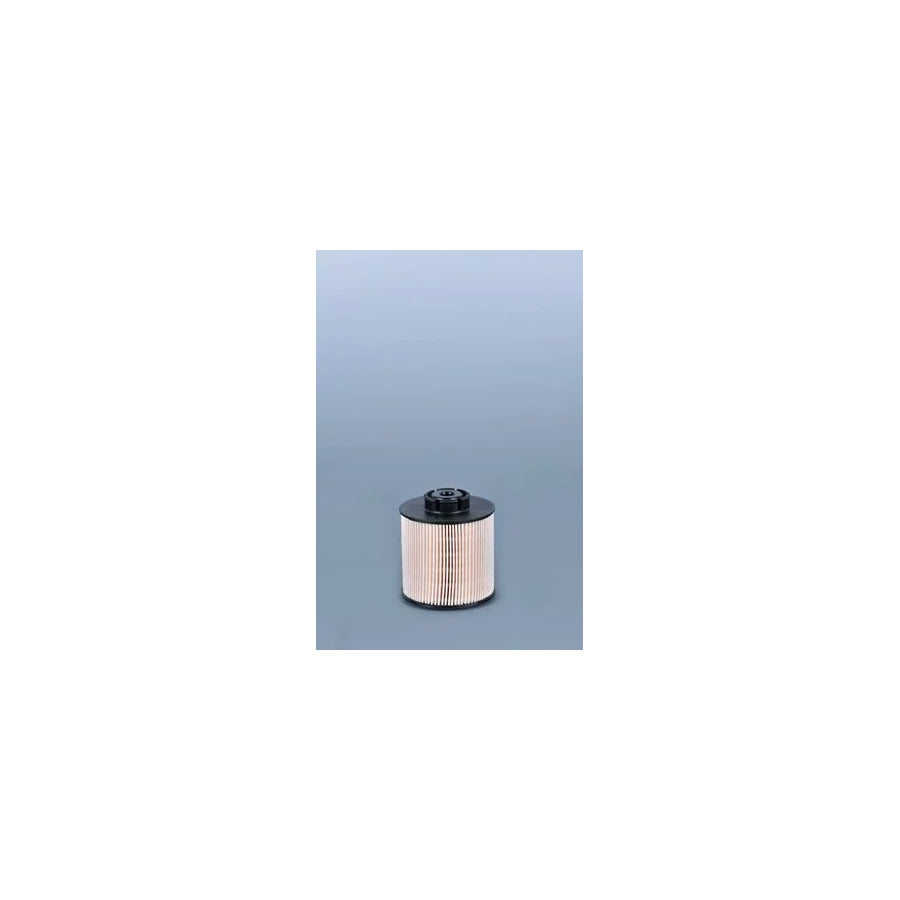 Fleetguard Ff5380 Fuel Filter
