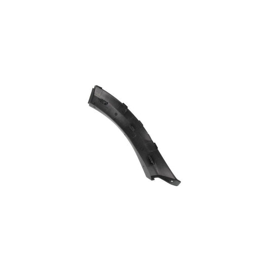 Blic 5703-04-1302596P Trim / Protective Strip, Mudguard for Dacia Sandero I (Sd)