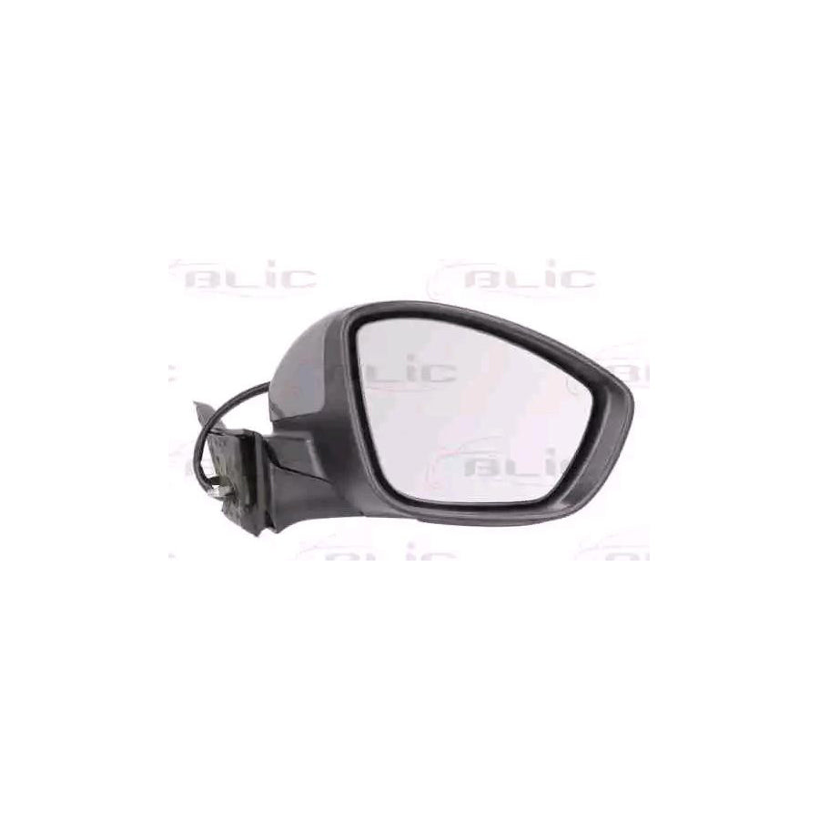Blic 5402-08-2002054P Wing Mirror