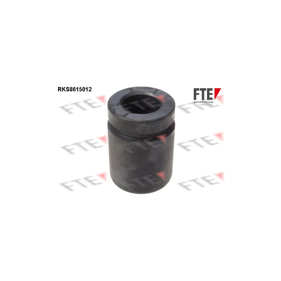 FTE Rks8615012 Piston, Brake Caliper