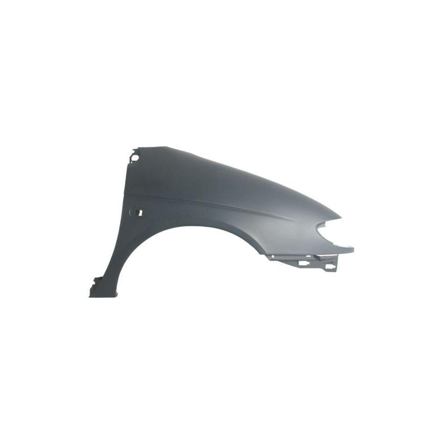 Blic 6504-04-6038312P Wing Fender for Renault Megane