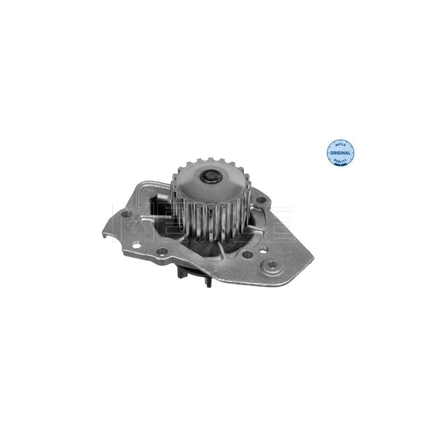 Meyle 11-13 012 0162 Water Pump