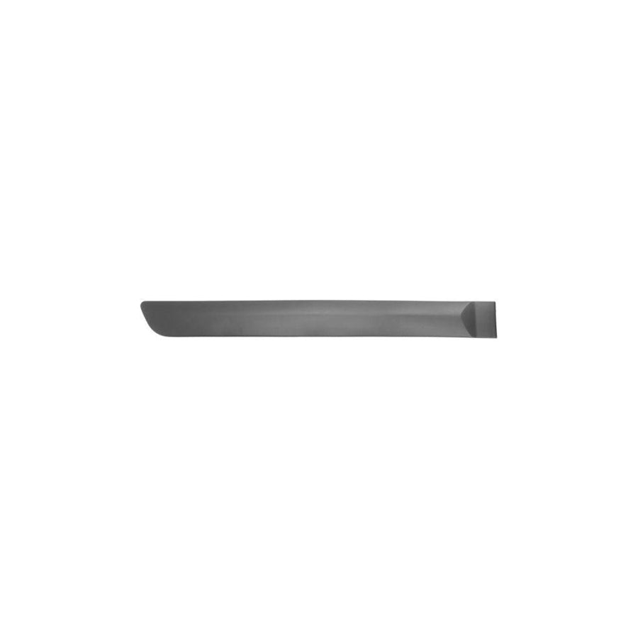 Blic 5703-04-1301576P Door Molding