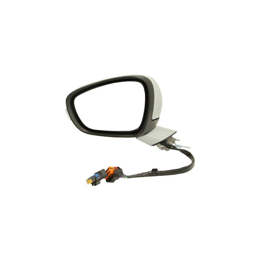 Blic 5402-08-035365P Wing Mirror for Peugeot 508