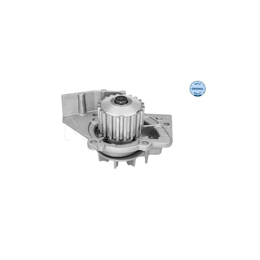 Meyle 11-13 220 0001 Water Pump
