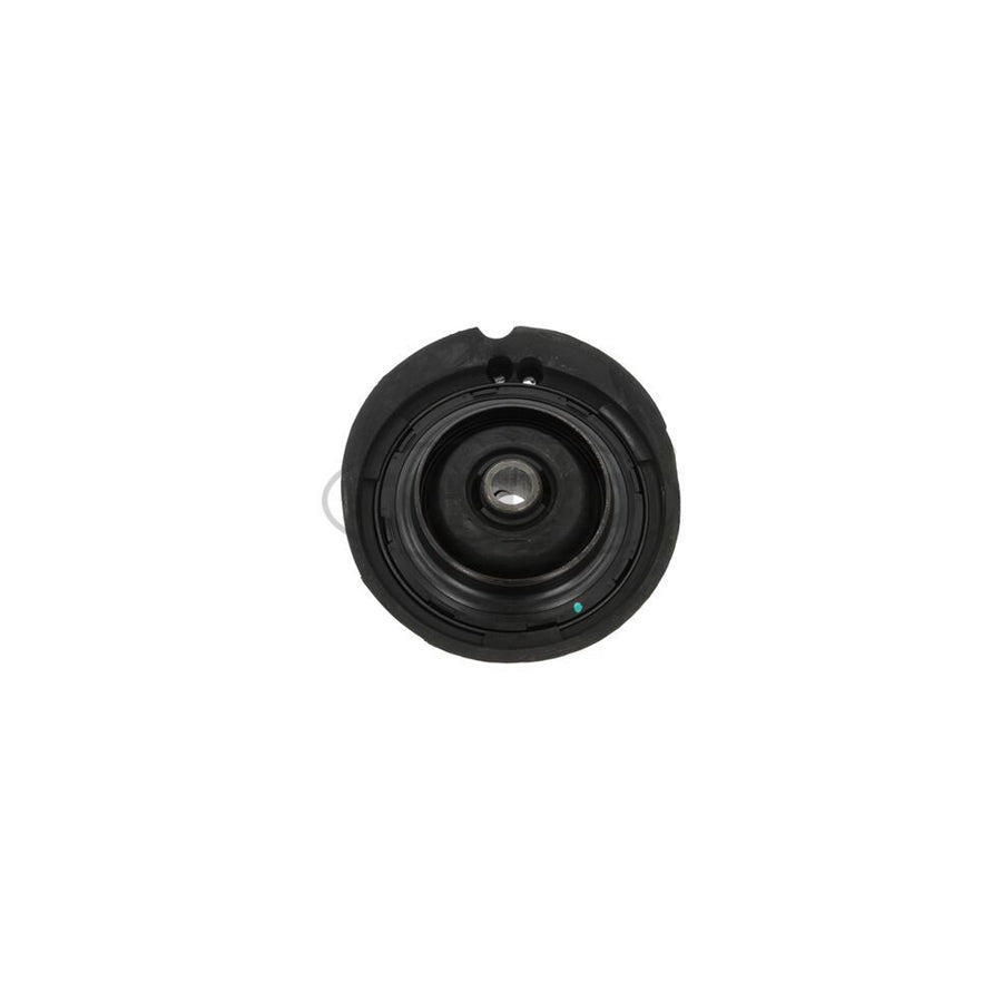 Corteco 80001672 Repair Kit, Suspension Strut