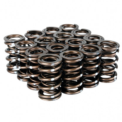 Skunk2 Racing Skunk2 Pro Series Honda/Acura K-Series i-VTEC XP Valve Spring Set (Dual Springs)