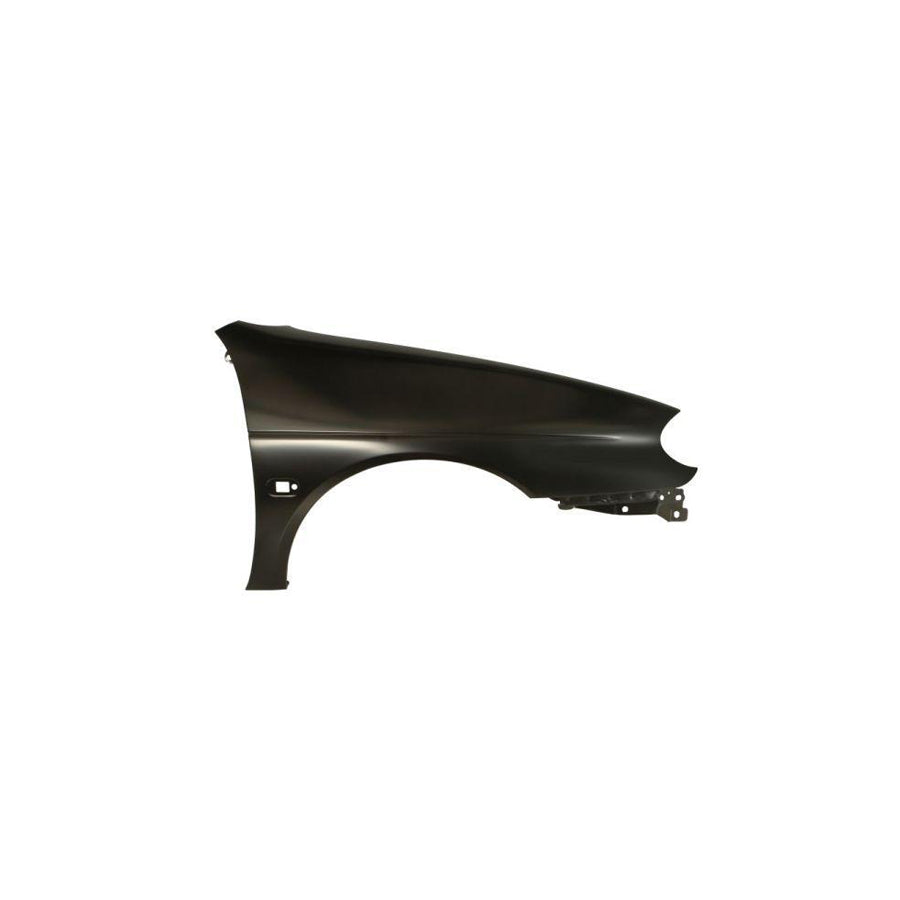 Blic 6504-04-6037314P Wing Fender for Renault Megane