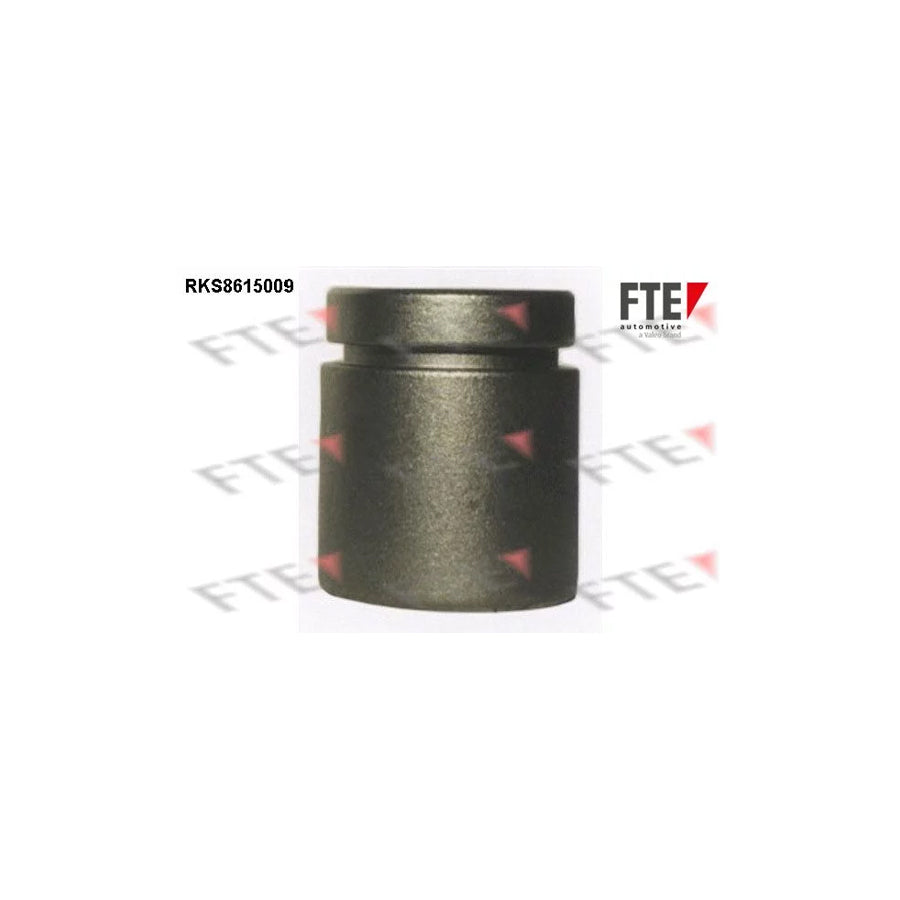 FTE Rks8615009 Piston, Brake Caliper