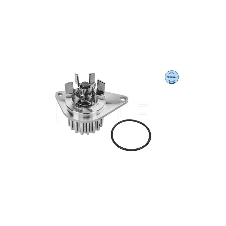 Meyle 11-13 220 0003 Water Pump