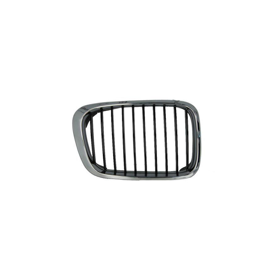 Blic 6502-07-0061994P Radiator Grille for BMW 3 Series