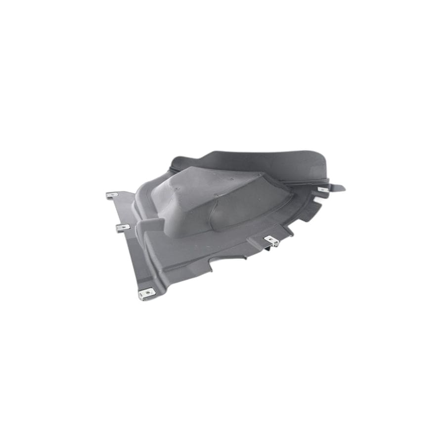 Genuine BMW 51717260738 F22 F23 Deflector Lip Right (Inc. 220i)