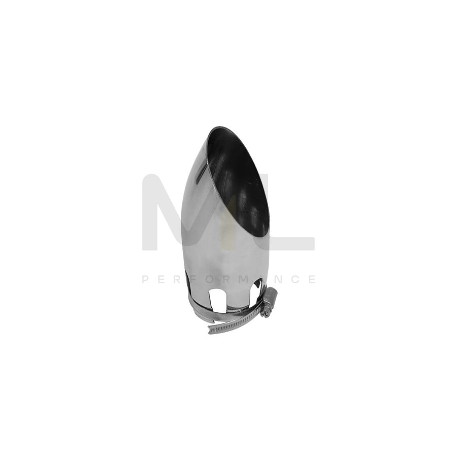 CARPOINT 2218761 Exhaust tip 54 mm, Silver, Stainless Steel, 160mm, 30mm
