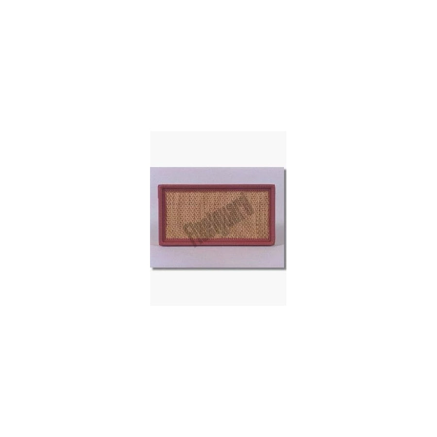 Fleetguard Af25256 Air Filter