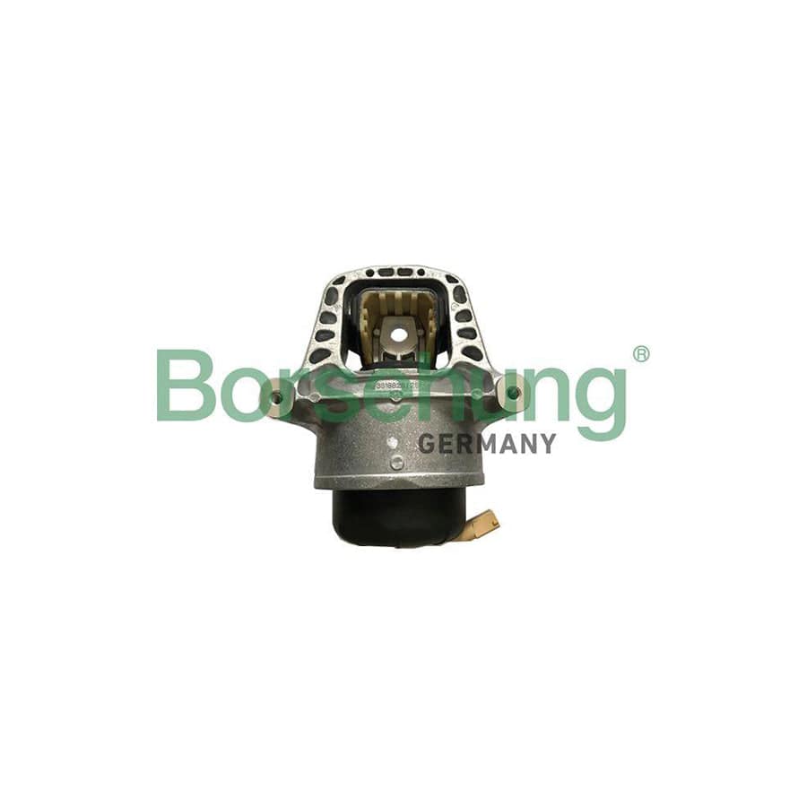Borsehung B19133 Engine Mount for Audi A4