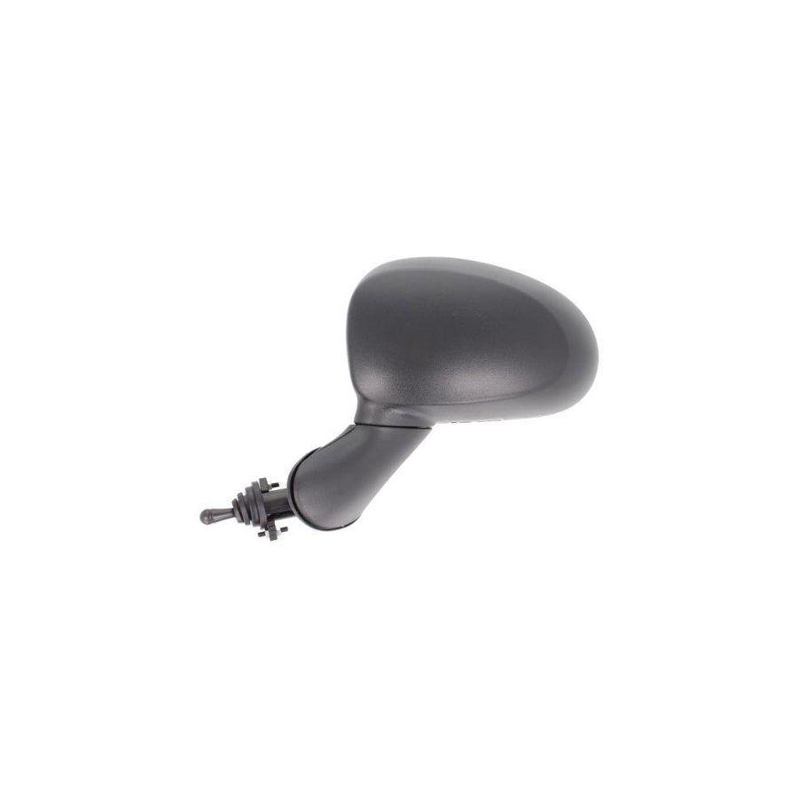 Blic 5402-56-2001073P Wing Mirror