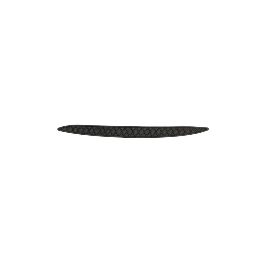 Blic 5703-05-3536972P Bumper Moulding Suitable for Mercedes-Benz Gle Off-Road (W166)
