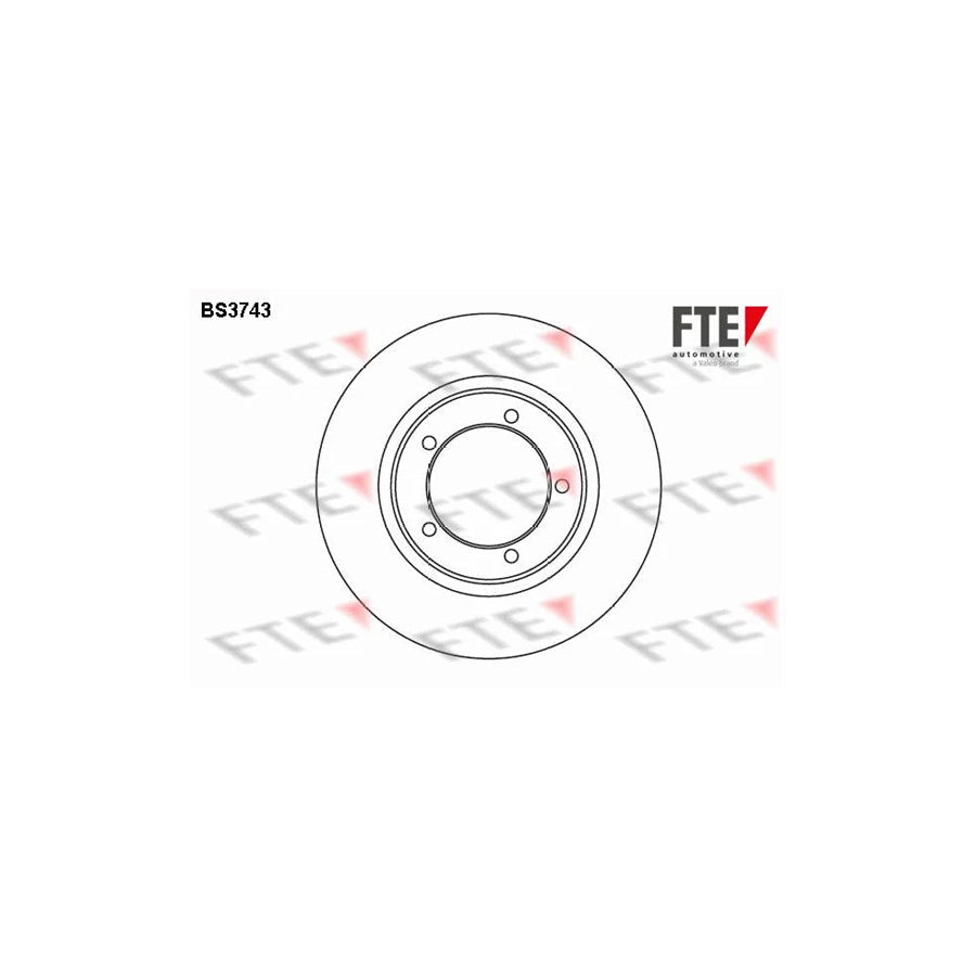 FTE Bs3743 Brake Disc