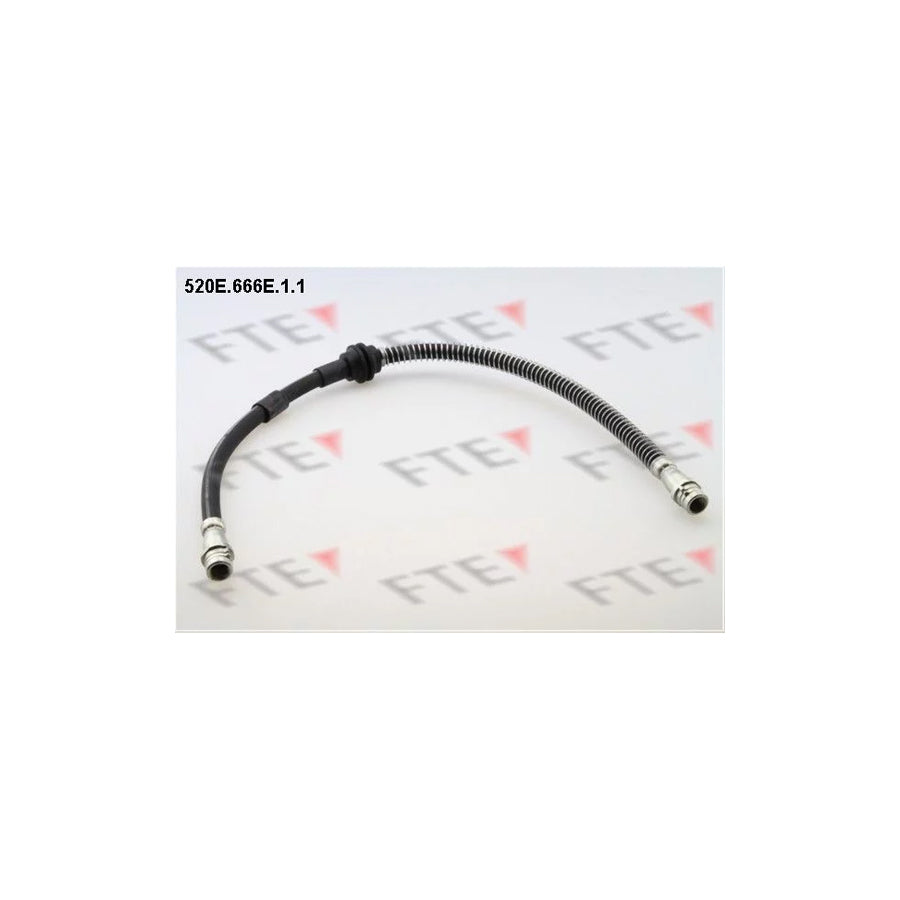 FTE 520E.666E.1.1 Brake Hose