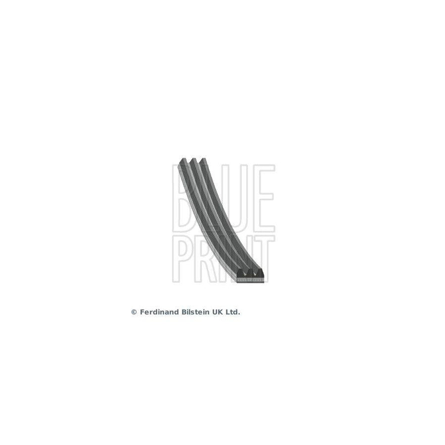 Blue Print Ad03R848 V-Ribbed Belt