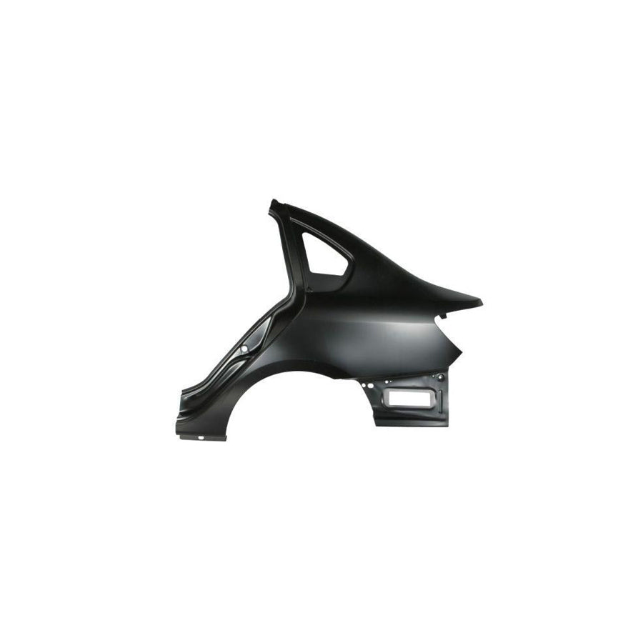 Blic 6504-01-6030511P Wing Fender for Renault Symbol / Thalia II
