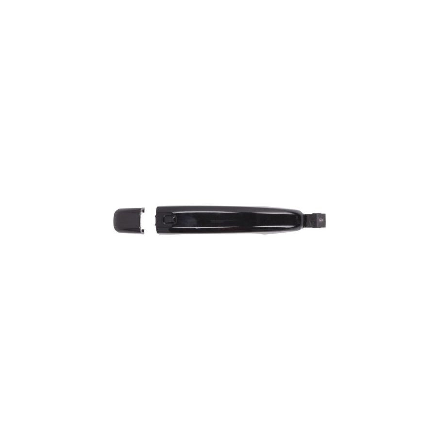 Blic 6010-25-032402Pp Door Handle