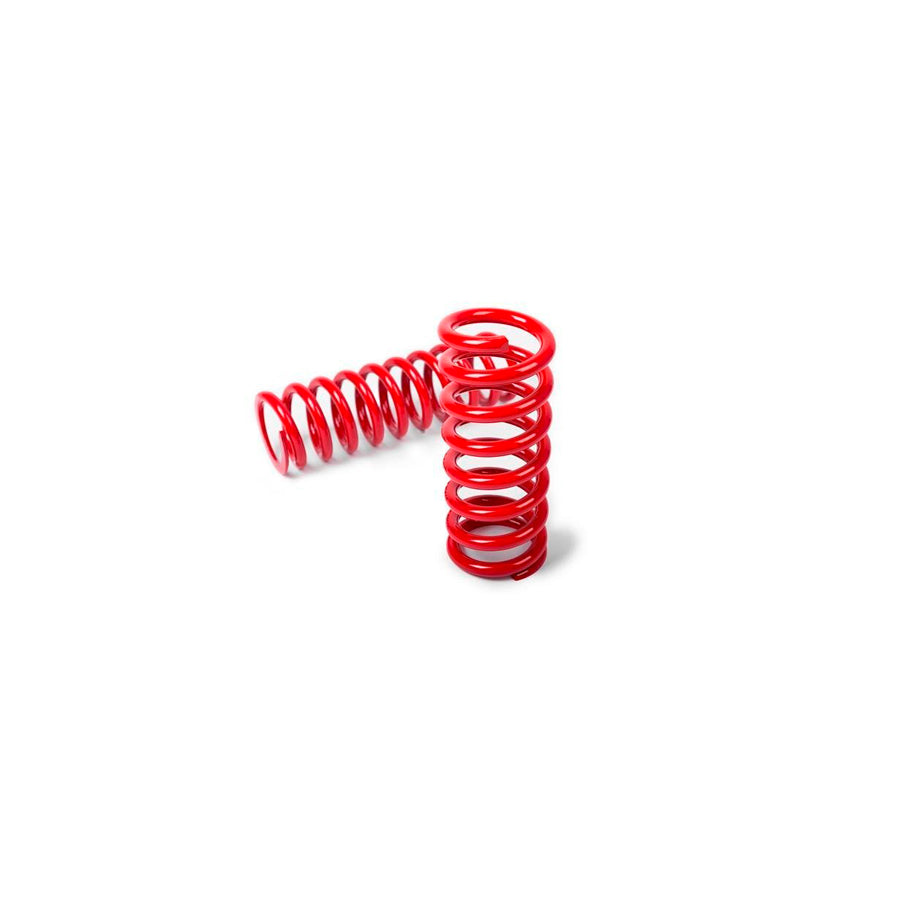 MTS Technik Volkswagen Rear Stance Springs - MTSXVW072HA Lowering Springs - Rear