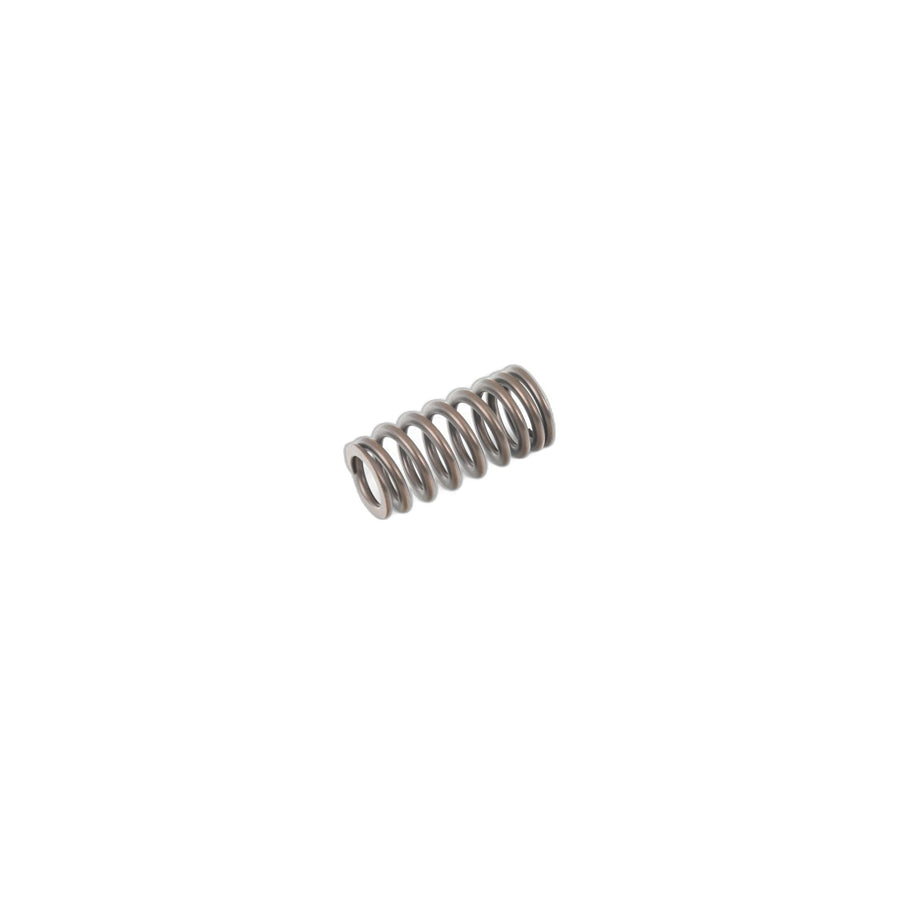 Genuine BMW 11348603911 F32 F33 F21 Valve Spring (Inc. 440iX, 740LeX & 230i)