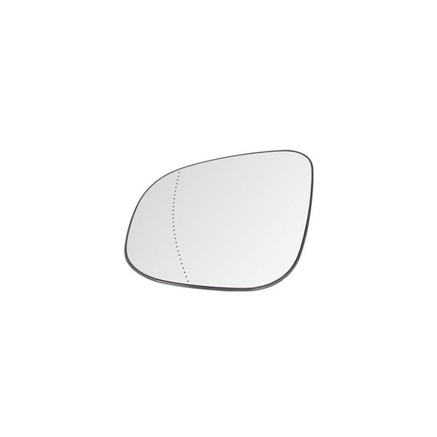 Blic 6504-01-6005514P Wing Fender for Renault Twingo