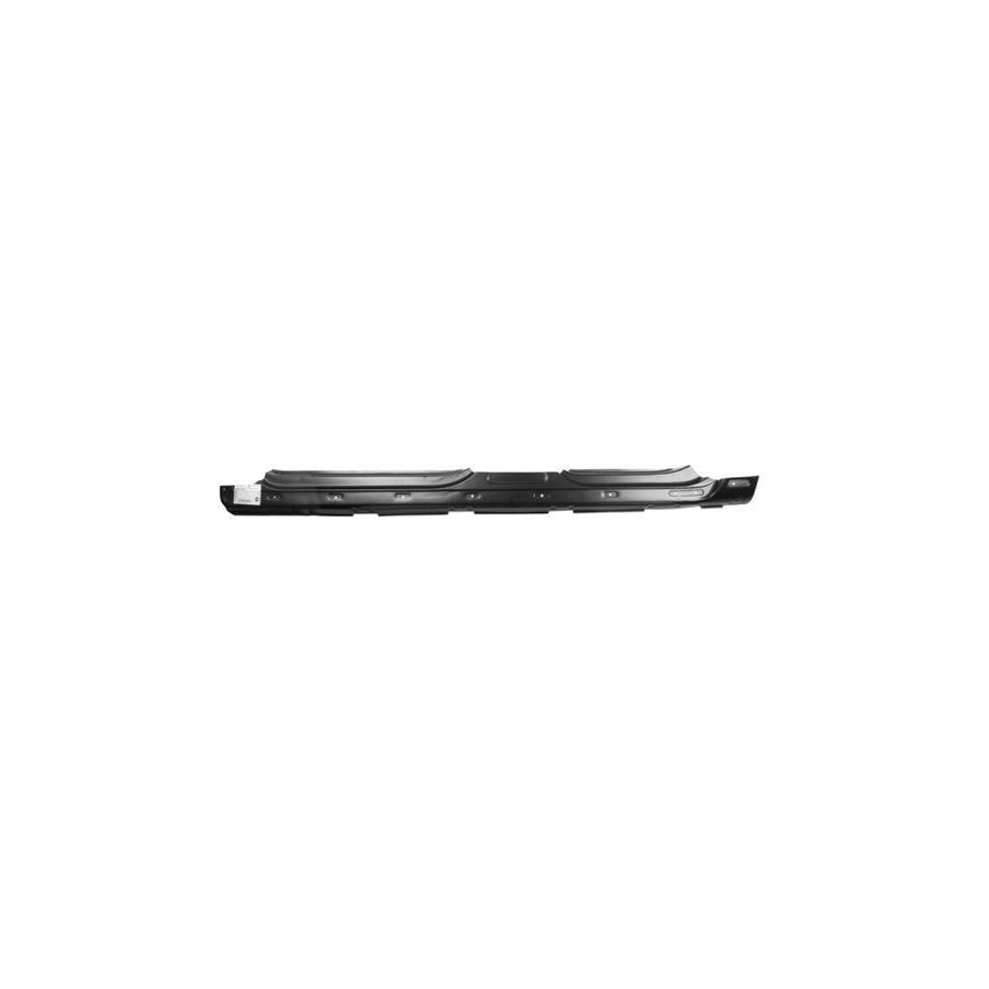 Blic 6505-06-9540011P Rocker Panel for VW Passat