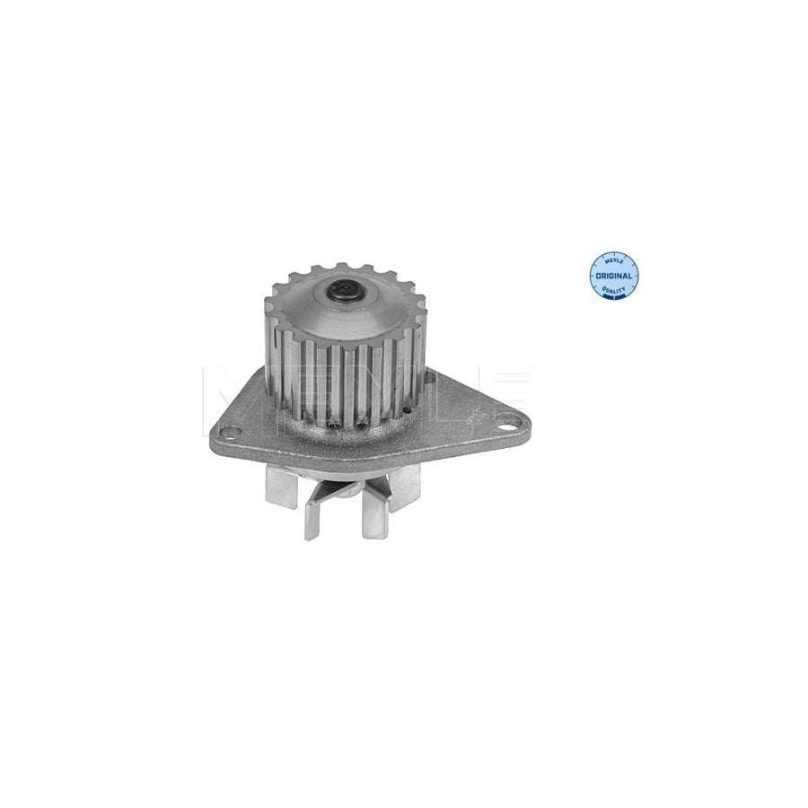 Meyle 11-13 220 0006 Water Pump