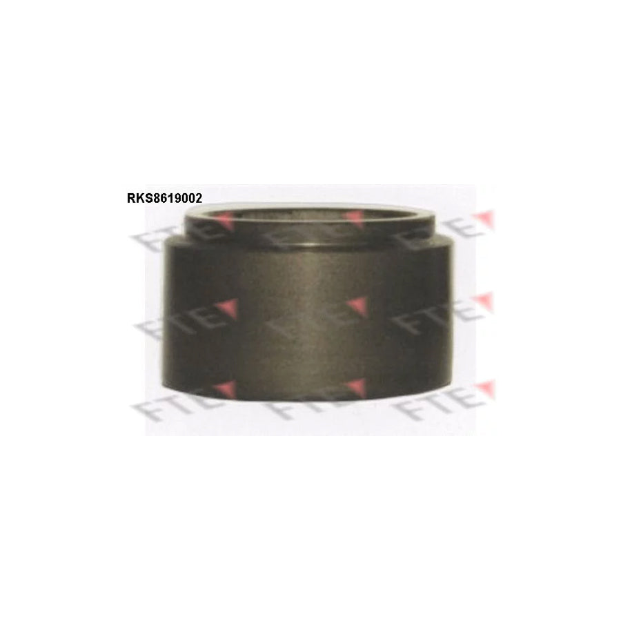 FTE Rks8619002 Piston, Brake Caliper