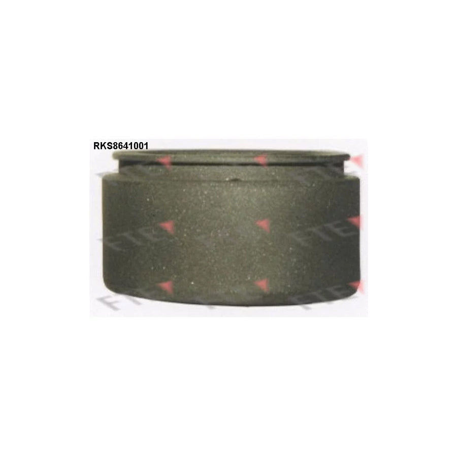 FTE 9313372 Piston, Brake Caliper