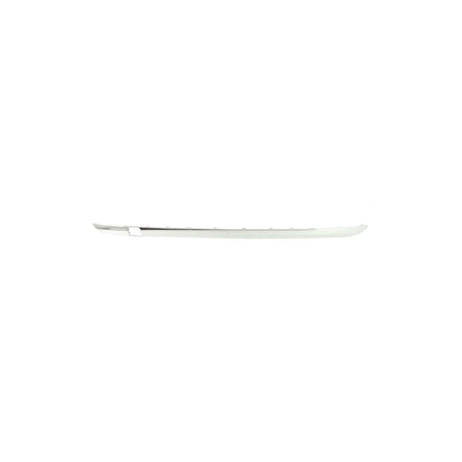 Blic 5703-05-3536970P Bumper Moulding