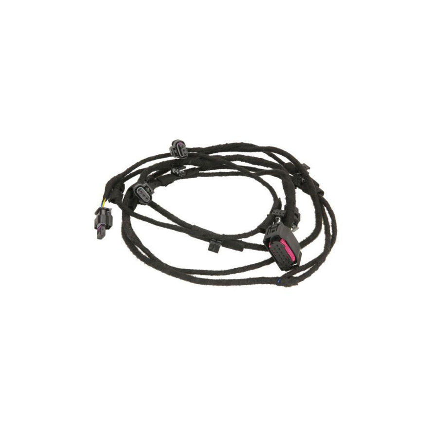 Blic 5902-02-0028P Parking Assist System for BMW X5 (E70)