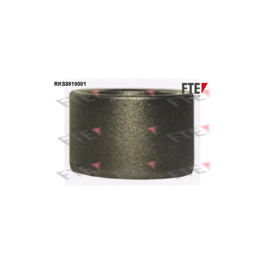 FTE Rks8619001 Piston, Brake Caliper