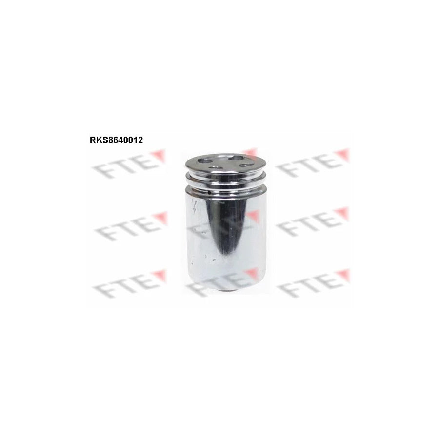 FTE 9313370 Piston, Brake Caliper