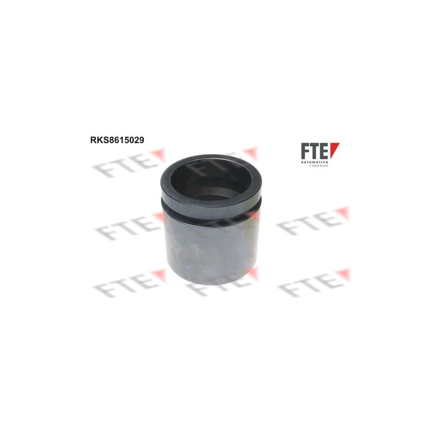 FTE Rks8615029 Piston, Brake Caliper