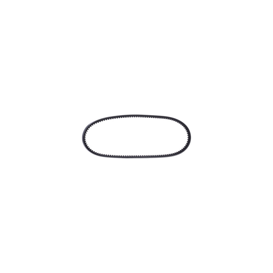 Meyle 052 010 0947 V-Belt